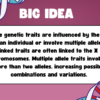 Sex-linked Traits and Multiple Allele Traits - Image 3